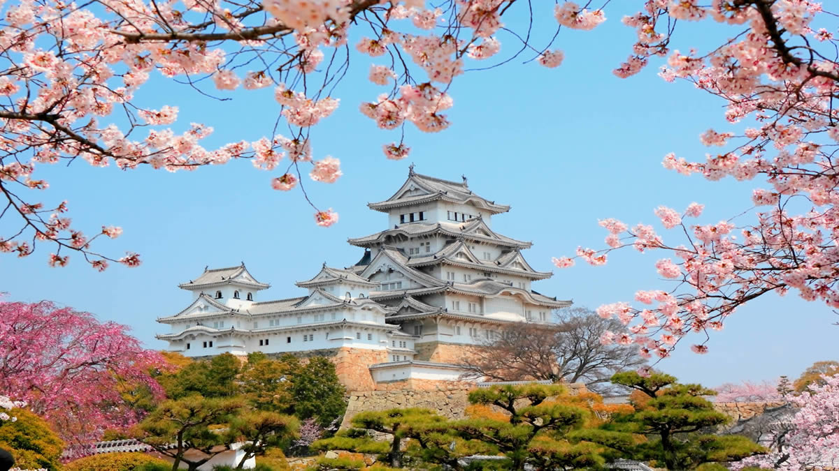 Japan Travel Guide: Must-Visit Places, Cultural Insights, and Budget Tips